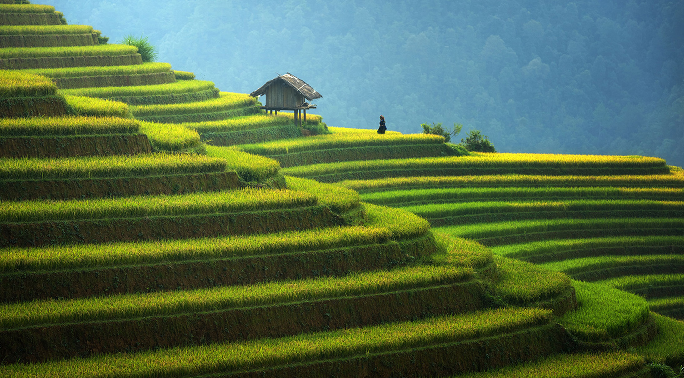 At the forefront of sustainability At the forefront of sustainability | BNP Paribas Wealth